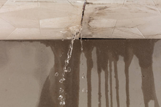 Professional Structural Drying technician working in Silver Lake, NJ